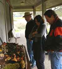 Bear Valley Visitors inspect tables